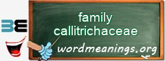 WordMeaning blackboard for family callitrichaceae
